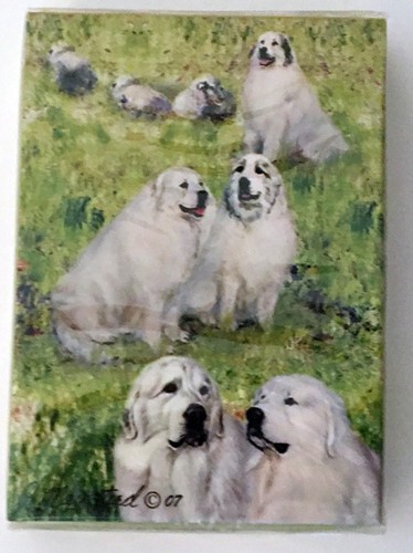 Great pyrenees standard size - pyrenees,